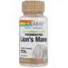 Ежевик Гребенчатый Lion's Mane, 500 мг, 60 капс. Органический